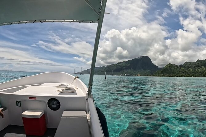 Half-Day Humpback Whales Encounter in Moorea - The Value Question: Is $236.85 Worth It?