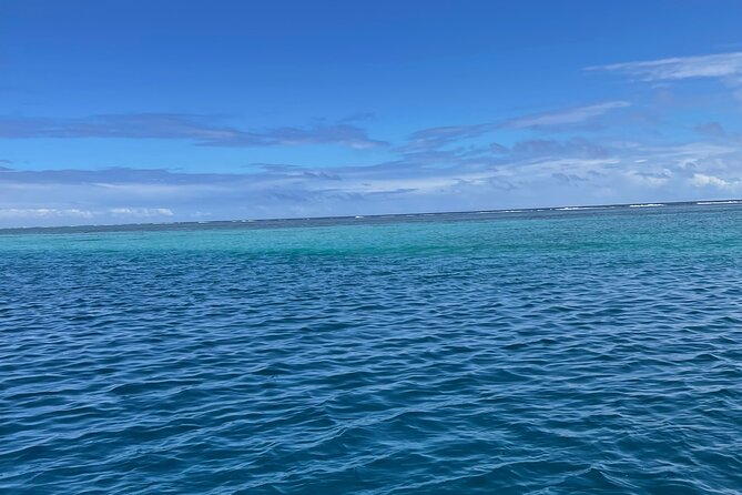 Half-Day Humpback Whales Encounter in Moorea - What to Bring and How to Think About the Swim