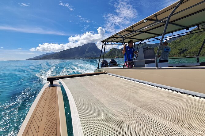 Half-Day Humpback Whales Encounter in Moorea - Who This Half-Day Mooreback Whales Trip Suits Best