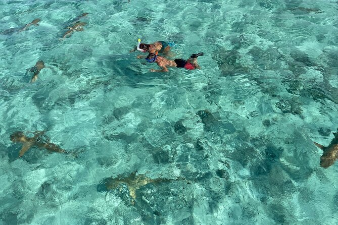 Half day lagoon safari tour in Bora Bora- Shared tour - Key things to know before you go