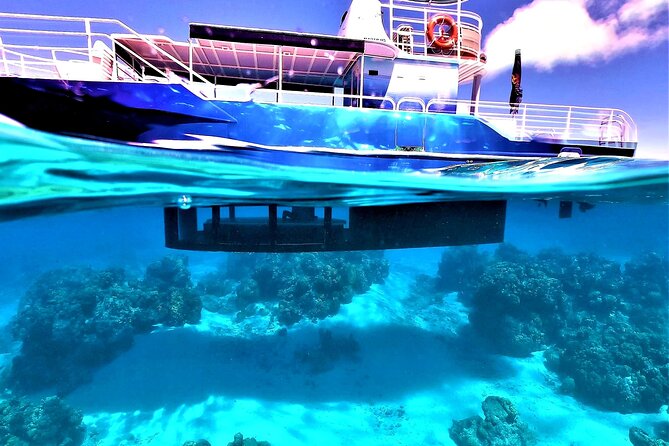 Half day lagoon safari tour in Bora Bora- Shared tour - Sharks, stingrays, and the shallow-water thrill you can actually manage