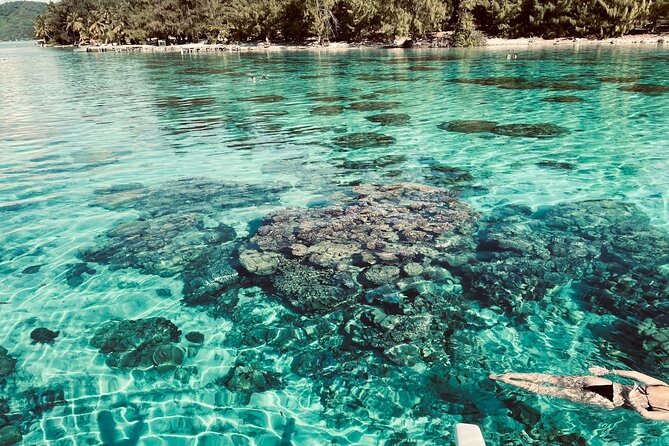 Half day lagoon safari tour in Bora Bora- Shared tour - Pickup, meeting point, and how the tour starts