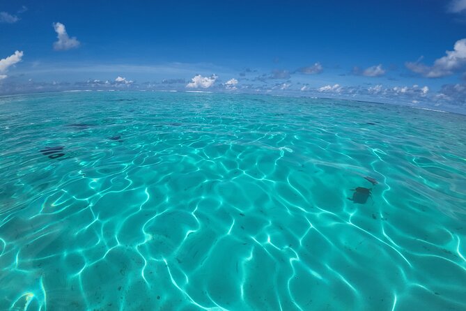 Half Day Private Boat Snorkeling Excursion Moorea - Getting to Top Jet Top Quad Moorea, and what to expect for pickup