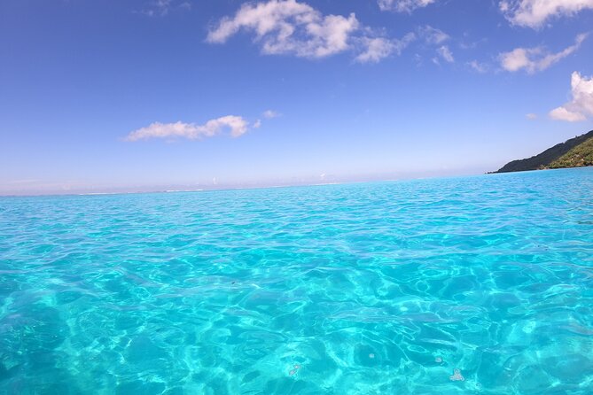 Half Day Private Boat Snorkeling Excursion Moorea - Tiahura turtle zone and stingrays: where you slow down and look