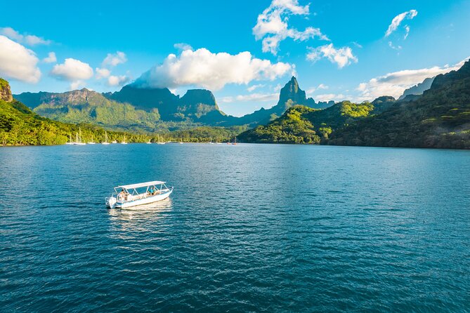 Half Day / Private Lagoon Adventure in Mo'orea - Sea turtles, spinner dolphins, and how to spot them without stressing