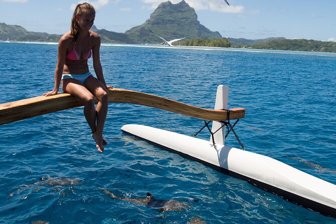 Half Day Private Lagoon Snorkeling Experience - A 4-hour private lagoon rhythm in Bora Bora