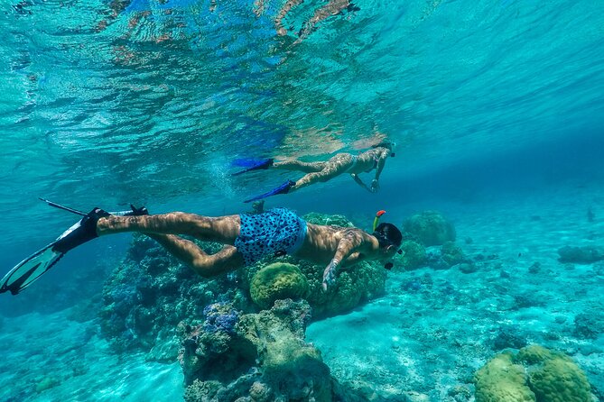 Half Day Private Lagoon Snorkeling Experience - Pickup to poolside calm: how you start the morning