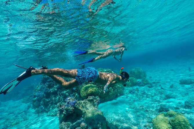 Half-Day Private Luxury Tour from Bora Bora - Stop 1: Coral garden snorkeling with stingrays and black-tip sharks