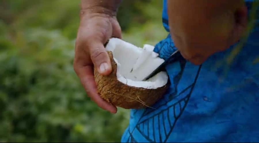 Half day Private tour of Moorea Safari Albert Pick up hotel - The viewpoint circuit: Belvedere look out and Magic Mountain