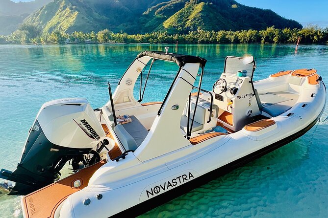 Half Day Private Whale Watching in Moorea - Price and value, what $976.97 per group really means for your trip