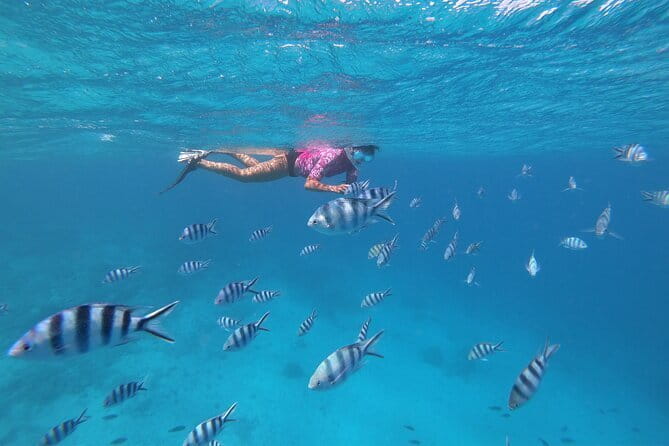 Half-Day Sailing Trip on the Lagoon of Tahiti Comments - Reef snorkeling stops: how to make your swim time count