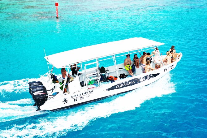 Half Day Snorkeling in Moorea - Quick things you should know before you go