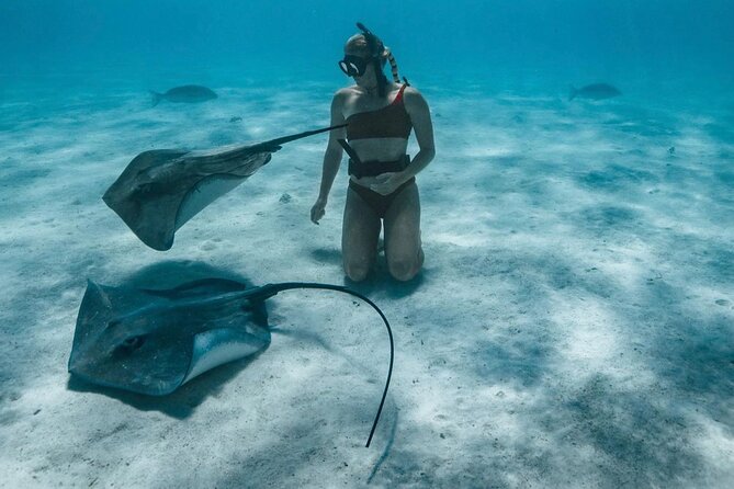 Half Day Snorkeling in Moorea - Snorkeling stop style 2: drift snorkeling in the coral canyon