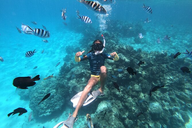 Half-Day Snorkeling Tour in Tahiti - Small Boat Vibes, Real-Time Safety, and the Weather Truth