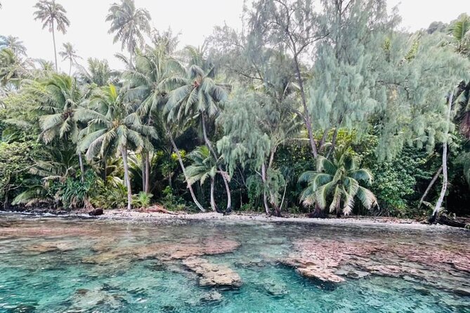 Half day Tahiti Peninsula and Teahupoo boat tour (shared boat) - Why this boat tour beats a quick stop on the road