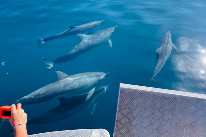 Half day Tahiti Peninsula and Teahupoo boat tour (shared boat) - Vaipoiri river mouth and a walk among mape trees