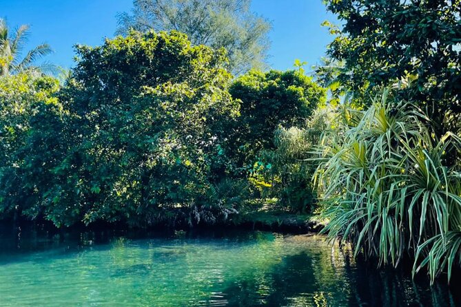 Half day Tahiti Peninsula and Teahupoo boat tour (shared boat) - What’s included, what it means for value