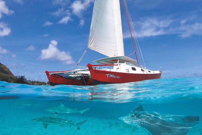 Half Day Tour : Moorea Snorkeling & Sailing on a Catamaran named Taboo - Key Points Worth Your Attention