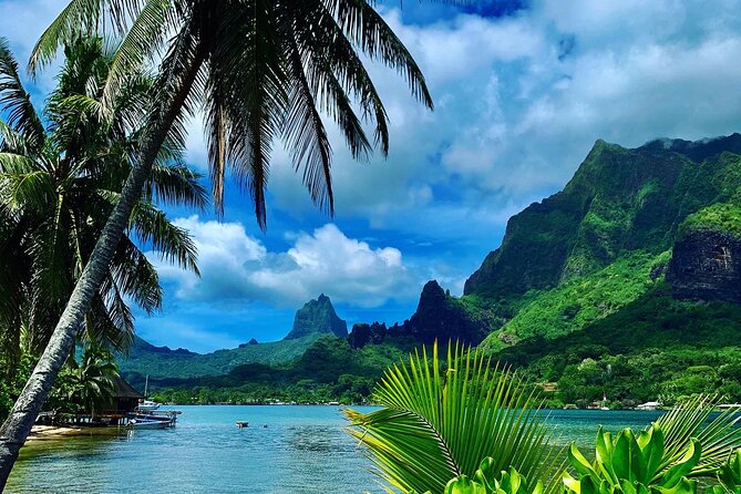 Half-Day Tour of Moorea Island in a Small Group - Key highlights in plain terms