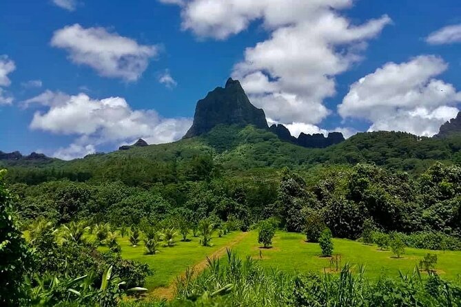 Half-Day Tour of Moorea Island in a Small Group - Cultural river-bank area and old village sites: the meaning behind the scenery