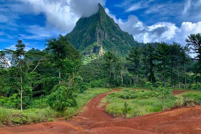 Half-Day Tour of Moorea Island in a Small Group - Belvedere Lookout: where the stories make the view make sense