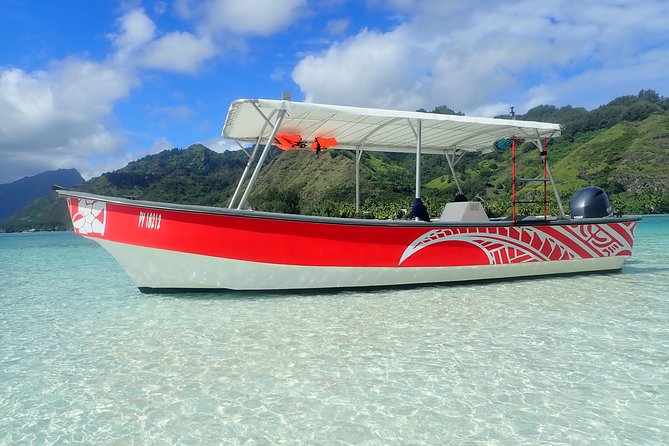 Half day whale tour 4h00 - After whales: lagoon snorkeling and the sharks-and-rays bonus