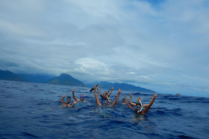 Half day whale tour 4h00 - Safety talk, life vests, and how to prepare like a pro