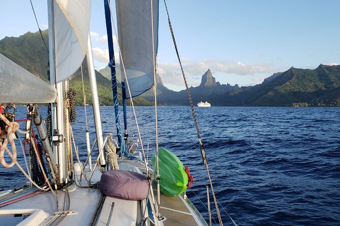 Half day whale watching - Without launch - When It’s Sailing Season Instead, You Can Expect Hands-On Experience
