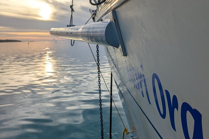 Half day whale watching - Without launch - Price and Value for a Private Group Up to 6