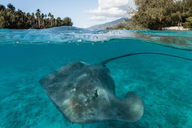 Introduction to sailing and discovering the lagoon - Lagoon Stops You’ll Feel in Your Body, From Motu Views to Underwater Life