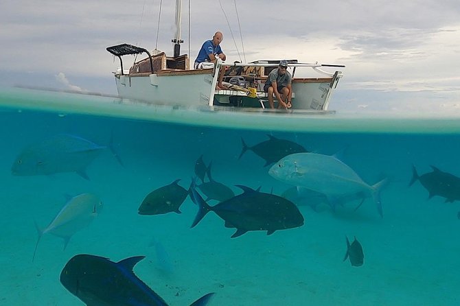 Introduction to sailing and discovering the lagoon - Onboard Food and Drinks: The Little Things That Make It Comfortable