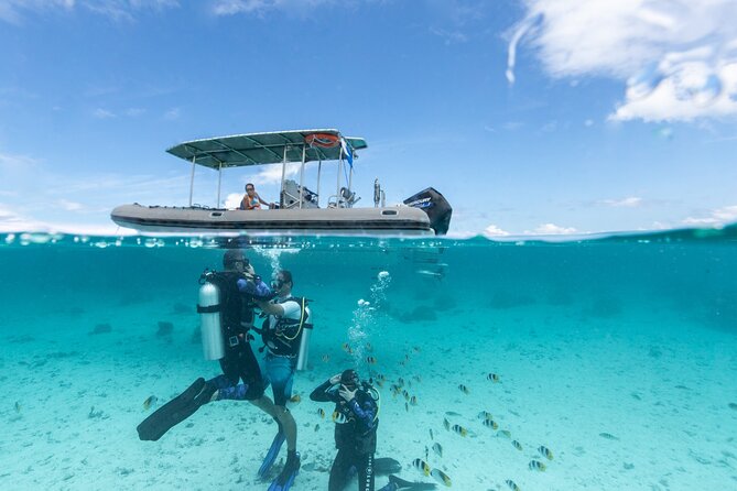 Introductory Scuba Diving Experience in Bora Bora - Key things that make this Bora Bora scuba lesson worth it