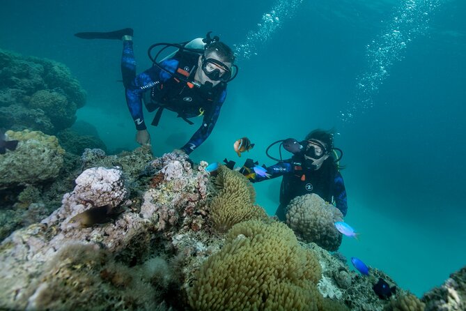 Introductory Scuba Diving Experience in Bora Bora - Why Bora Bora’s lagoon is such a good first scuba classroom