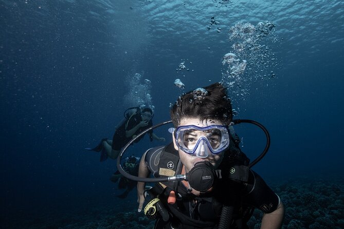 Introductory Scuba Diving Experience in Bora Bora - Stop in the lagoon: where you learn, see marine life, and keep it fun