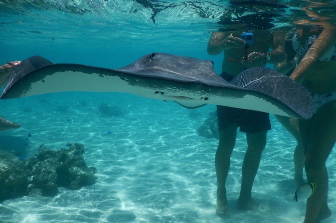 Jet-ski excursion 3 hrs Jet ski excursion to Moorea (single or two-seater) - Weather matters in Moorea, and this tour takes it seriously