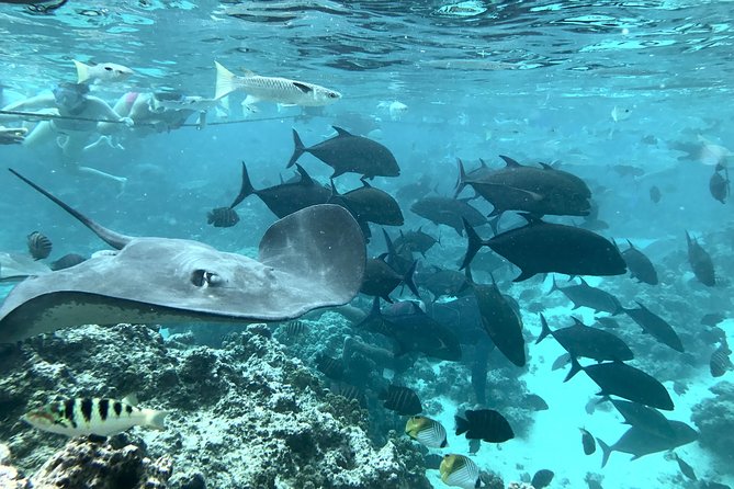Jet Ski Moorea Customed Tour only - Jet skis, tandems, and equipment notes you should plan for