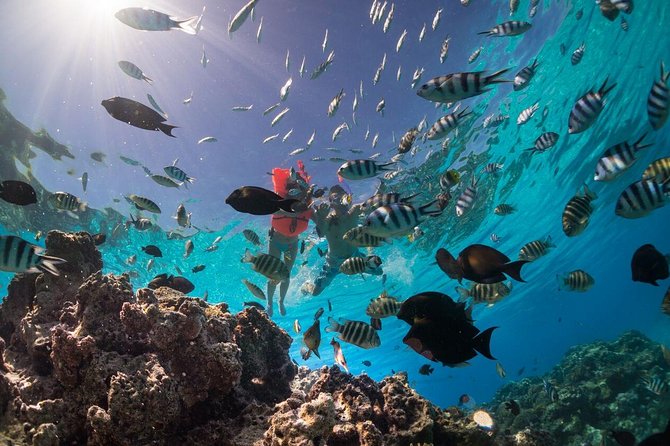 Keishi Tour Half Day Shared Excursion - Key highlights worth planning around