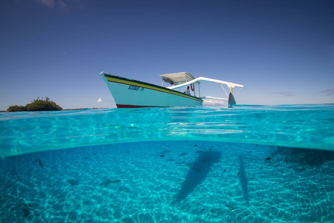 Keishi Tour Half Day Shared Excursion - Shark and ray encounter: close, but still guided