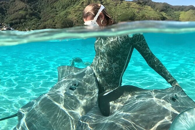 Lagoon and Marine Wildlife Tour in Moorea - Key Highlights You Should Know Before You Go