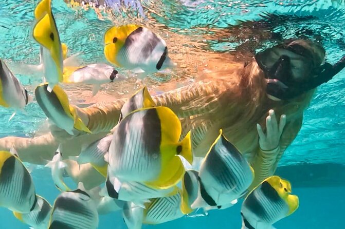 Lagoon and Marine Wildlife Tour in Moorea - Why a Moorea Lagoon Boat Tour Is Such a Smart First Choice
