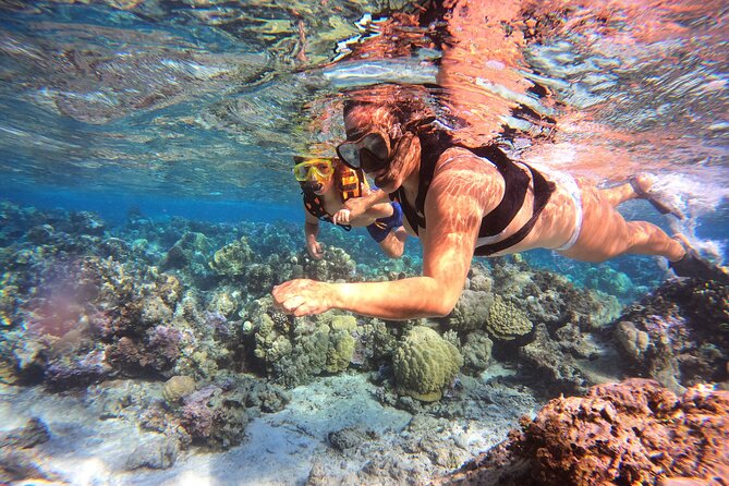 Lagoon and Marine Wildlife Tour in Moorea - Price and Timing: Is $103.24 Worth It?