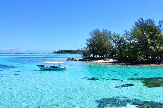 Lagoon and Marine Wildlife Tour in Moorea - Practical Tips So Your 9:00 am Tour Goes Smoothly