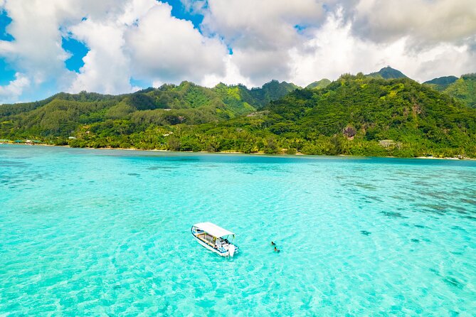 Lagoon and Marine Wildlife Tour in Moorea - The Route Inside the Lagoon, and Why Protected Areas Matter