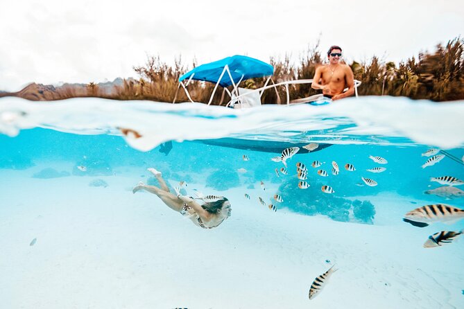 Lagoon and Wildlife Discovery on a Private Boat in Moorea - Key highlights worth planning around