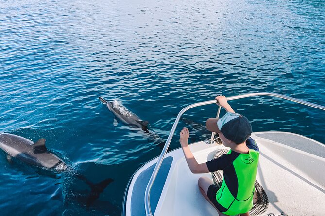 Lagoon and Wildlife Discovery on a Private Boat in Moorea - Motus and the coral garden: fish, coral, and short hops