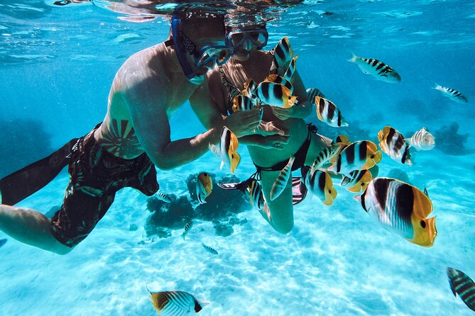 Lagoon and Wildlife Discovery on a Private Boat in Moorea - Underwater GoPro photos: the easiest souvenir you will actually use