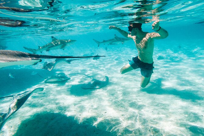 Lagoon and Wildlife Discovery on a Private Boat in Moorea - The first lagoon pass: spotting the good stuff from the water