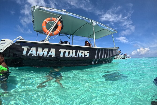 Lagoon Exploration and Snorkeling in Moorea - Dolphin Country: How the Reef Edge Changes the Ocean Game