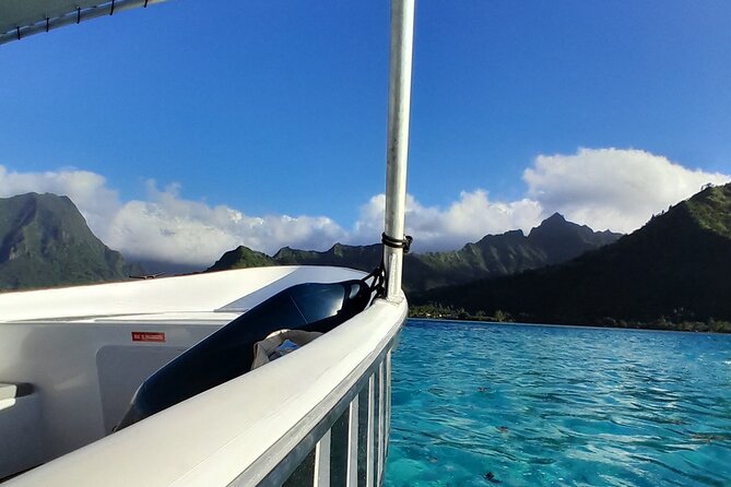 Lagoon Exploration and Snorkeling in Moorea - Price and Value: Is $145.76 Worth It?