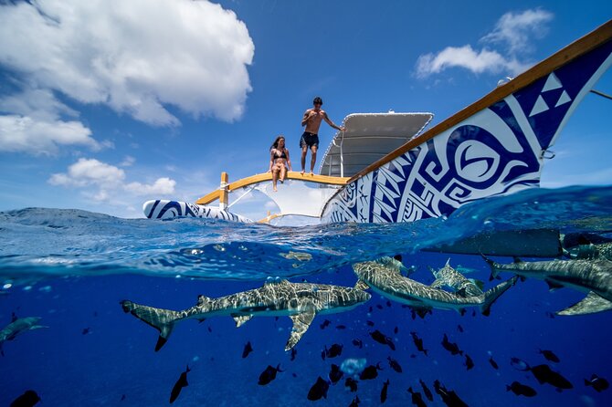 Lagoon Snorkeling Tour with Tahitian Oven Lunch in Bora Bora - Weather reality: why it matters for snorkeling and what the tour will do